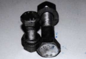 Baut Hoot Deep Galvanis